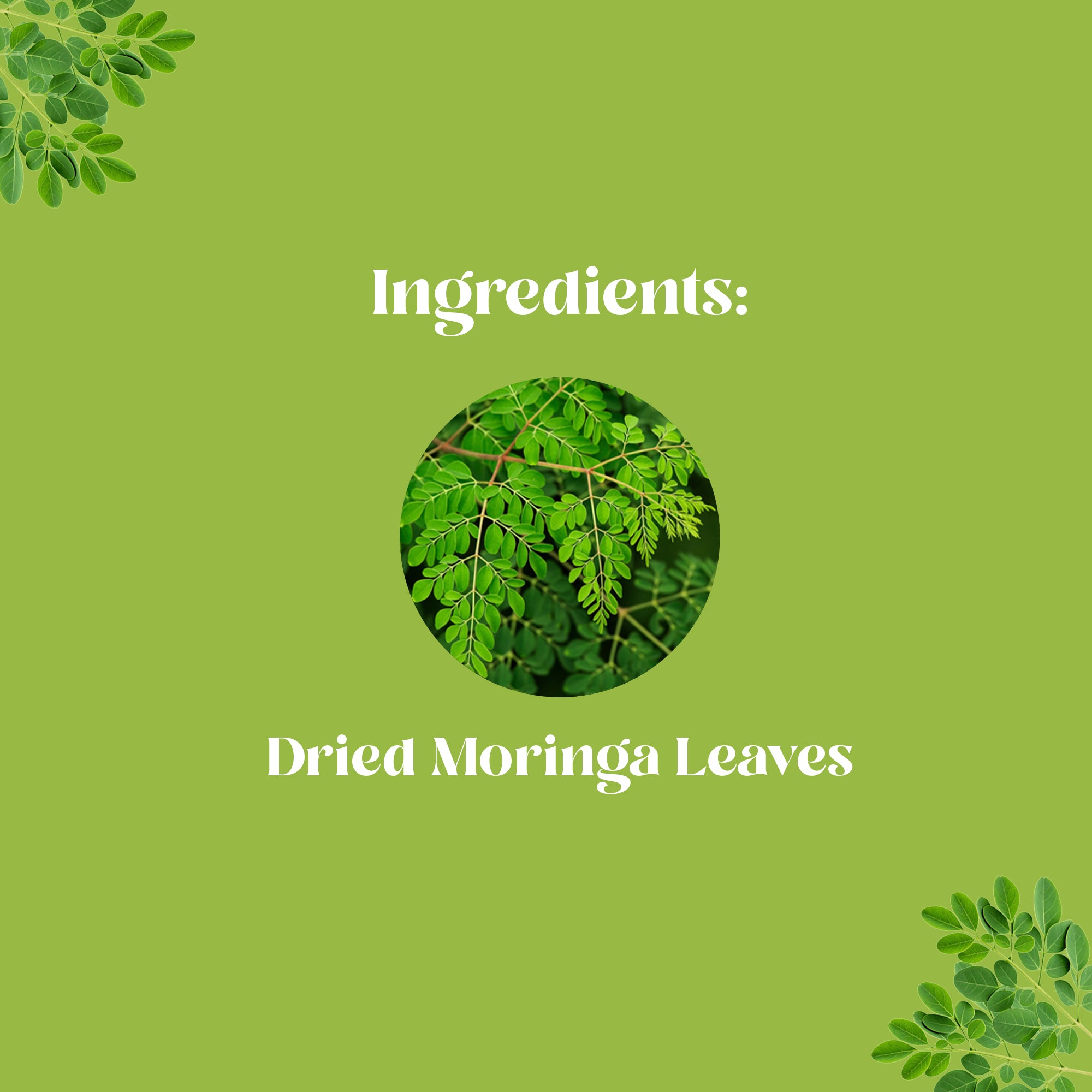 Moringa Plain Powder | முருங்கை பொடி