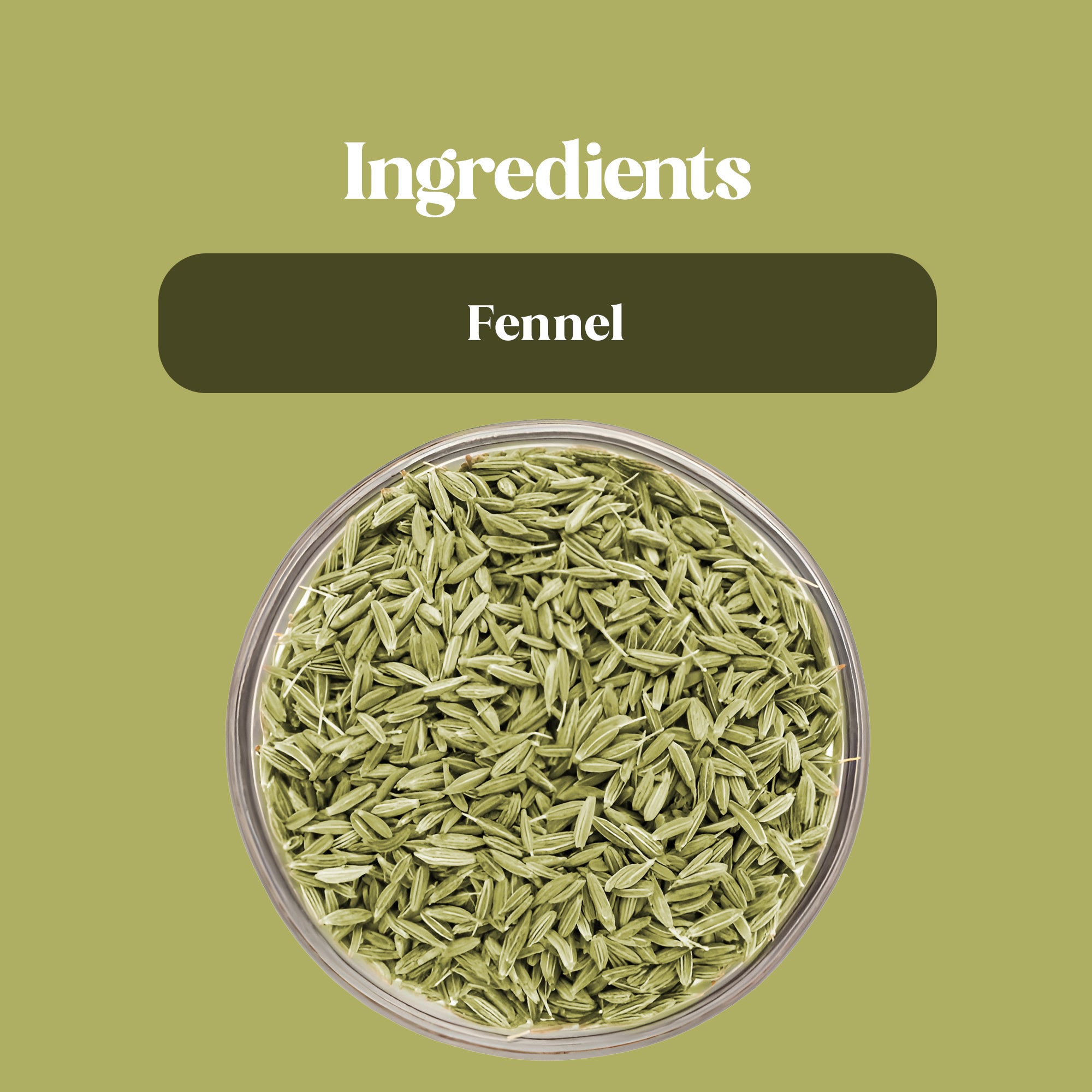 Fennel Powder (சோம்பு பொடி )
